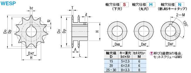 片山チエン SEMI-F NK100-2B22（軸穴径+新JISキー+タップ2カ所 加工