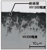 アルミナ被膜ピン 止めねじ:関連画像