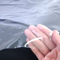 難燃性透明フィルム ノンフレーム 改 抗菌プラス 1370mm×0.3mm×30m #480 6300049041