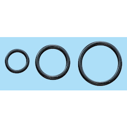 フッ素ゴム Fkm Oリング 10入 数量限定アウトレット最安価格 P22a