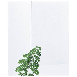 Kac 光 アクリルキャスト板透明 光 Misumi Vona ミスミ