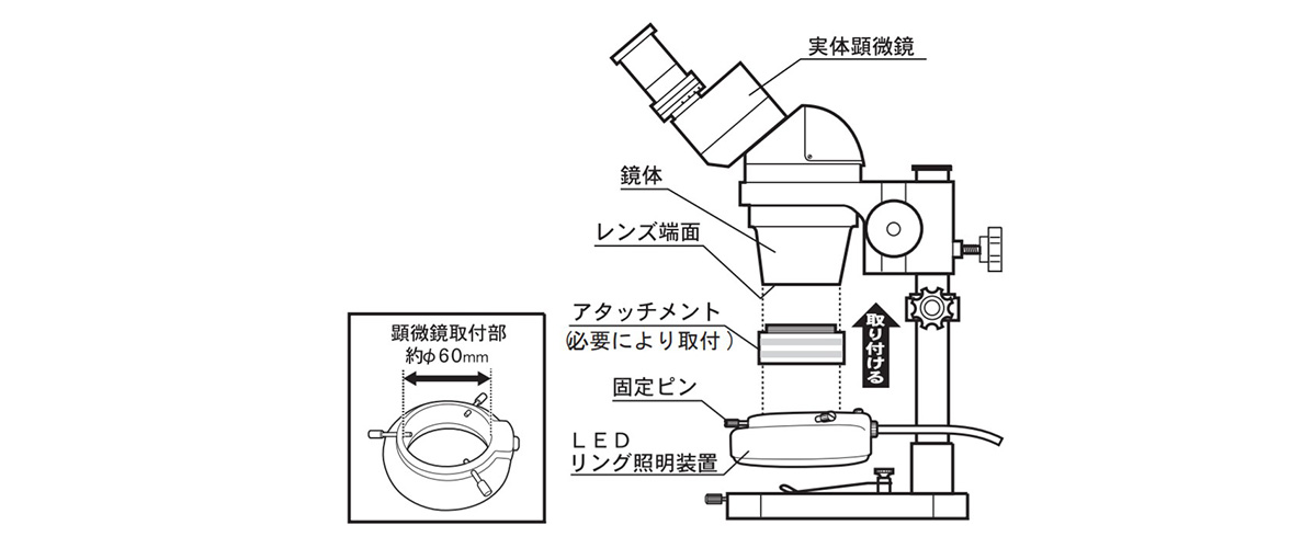 定価 TRUSCO 顕微鏡用照明 LED球タイプ <br>TRL-54 1台<br><br> 329-2380<br><br><br> 
