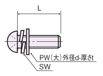 鉄 セットなべ小ネジ（SW・PW（大）付）/F-0000-S2E  外形図