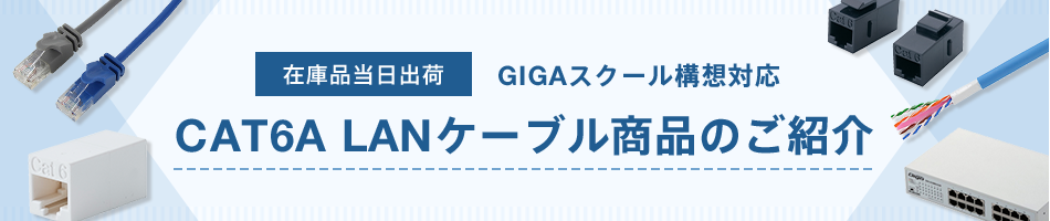 【在庫品当日出荷】GIGAスクール構想対応 CAT6A LANケーブル商品のご紹介