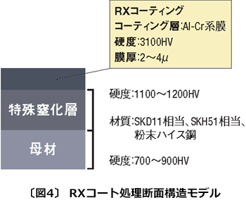 図4　RXコート処理断面構造モデル